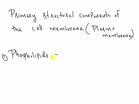 the-primary-structural-components-of-the-cell-membrane-are-23084
