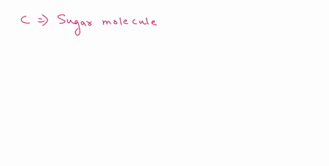 i0-och-ccoh-nolecules-ps-56418