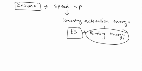 in-a-biological-reaction-involving-an-enzyme-what-does-the-active-site-of-an-enzyme-bind-to-a-the-inactive-site-of-another-enzyme-b-the-catalyst-c-the-active-site-of-another-enzyme-d-the-sub-95241