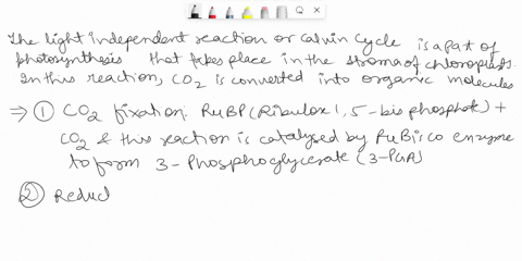 helpp-what-is-the-end-product-of-the-light-independent-reaction-78935