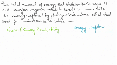 question-6-1-point-the-total-amount-of-energy-that-photosynthesis-captures-and-transfers-to-organle-molecules-is-called-while-the-energy-captured-by-photosynthesis-minus-what-plants-use-for-19623