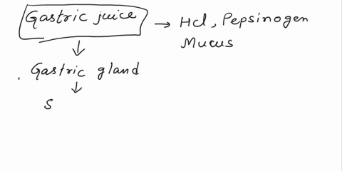 what-is-gastric-juice-what-substances-are-its-composition-explain-its-functions-48766