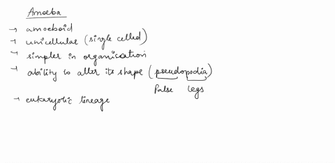 label-the-indicated-parts-in-the-given-diagramanswer-this-fastly-69252