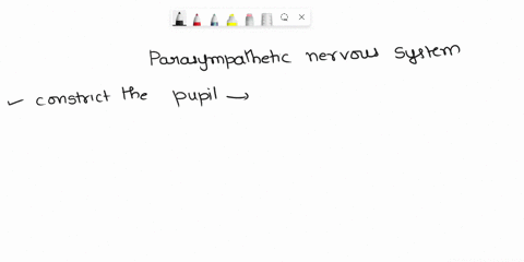 which-function-is-not-found-in-the-parasympathetic-nervous-system-select-one-a-conservation-of-energy-b-decreased-digestive-and-urinary-functions-decrease-in-heart-rate-blood-pressure-and-re-24395