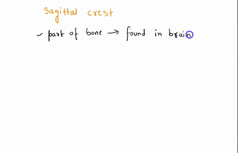a-sagittal-crest-is-group-of-answer-choices-a-the-ridge-that-runs-along-the-primate-spine-below-the-lumbar-vertebrae-bonly-found-in-primates-with-small-canines-can-exclusively-old-world-prim-03801