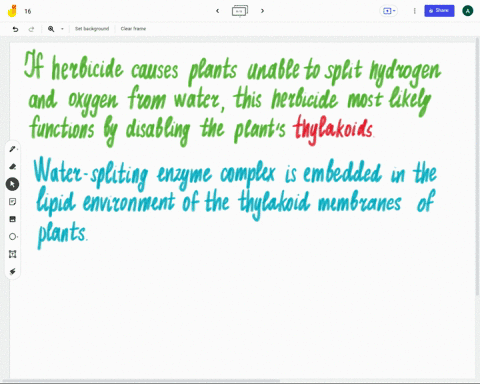 anew-type-of-herbicide-is-discovered-the-way-it-works-is-unknown-but-after-application-plants-are-unable-to-split-hydrogen-and-oxygen-from-water-however-when-provided-with-artificial-atp-and-98477