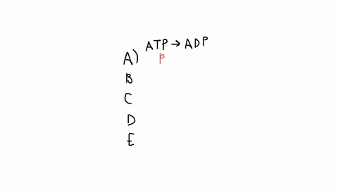 if-energy-coupling-between-the-reactions-atp-adp-and-h-h-p-is-direct-how-many-enzymes-and-how-many-steps-are-required-and-how-is-coupling-accomplished-a-one-enzyme-two-steps-the-enzyme-binds-atp-and-p