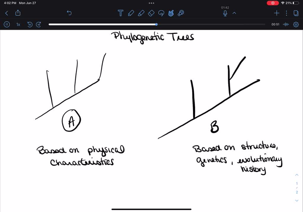 solved-consider-ihese-pnylogenetic-irees-ine-tirst-tree-is-based-on