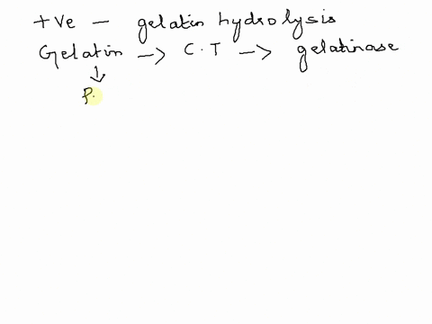 you-inoculated-a-gelatin-deep-with-a-bacteria-how-do-you-know-if-the-bacteria-produce-the-exoenzyme-gelatin-hydrolase-what-is-a-positive-result-01232