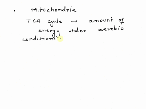 which-of-the-following-take-place-in-the-mitochondria-select-all-that-apply-glycolysis-citric-acid-cycle-electron-transport-chain-oxidative-phosphorylation-34713