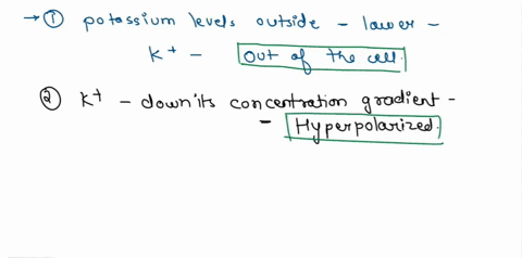 when-potassium-levels-outside-the-nerve-cell-are-lower-than-normal-there-is-stronger-driving-force-for-kt-to-flow-group-as-a-result-of-kt-flowing-down-its-concentration-gradient-the-nerve-ce-00712