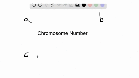 among-human-embryos-that-are-unable-to-complete-development-some-have-three-complete-copies-of-the-nuclear-genome-and-others-have-four-complete-copies-of-the-nuclear-genome-how-many-chromoso-28203