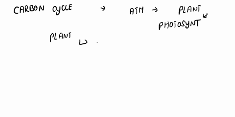 the-carbon-cycle-is-the-movement-of-carbon-on-earth-by-the-processes-of-___________________-and-______________________-a-oxygen-and-carbon-dioxide-b-plants-and-animals-c-breathing-in-and-out-42693