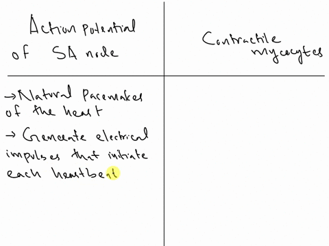 difference-between-action-potential-of-sa-node-and-contractile-myocytes-51104