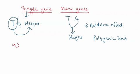 which-of-the-following-characteristics-of-a-trait-would-help-you-determine-whether-the-trait-was-controlled-by-a-single-gene-or-by-many-genes-if-there-is-a-normal-distribution-pattern-for-th-73392