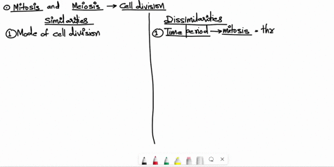 please-compare-and-contrast-mitosis-and-meiosis-how-are-they-similar-and-how-are-they-different-when-do-these-processes-take-place100-words-or-more-please-68399