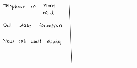compare-the-telophase-in-the-plant-cell-with-the-telophase-in-the-animal-cell-28675