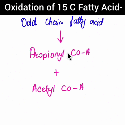 what-are-tne-final-products-of-oxidation-of-15-carbon-fatty-acid-acetyi-coa-propionyl-col-acetyl-cof-acetyi-con-propiony-coa-acetyl-coa-acetyi-cok-propiony-coa-85685