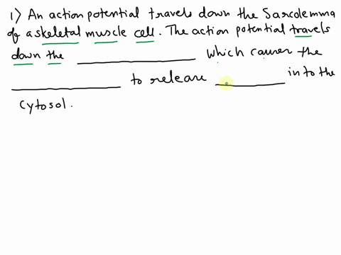 Question Completion Status: QUESTION 47 An action potential travels ...