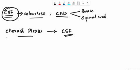 where-is-csf-fluid-formed-and-name-one-problem-that-could-arise-if-the-flow-is-disrupted-74614