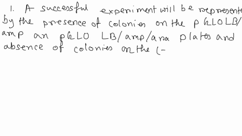 frequently-experiments-do-not-turn-out-as-expected-and-good-scientists-learn-how-to-troubleshoot-and-test-possible-reasons-for-unexpected-results-sallys-team-ran-this-experiment-but-observed-11675