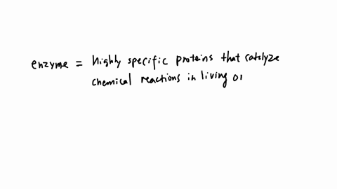 question-38-not-yet-answered-marked-out-of-1-flag-question-2each-enzyme-catalyze-with-a-specific-substrate-a-true-b-false-ouestion-39