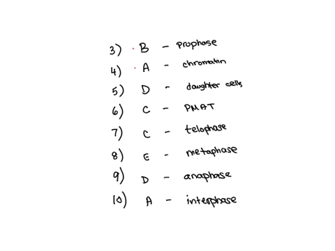 3-the-stage-where-the-nuclear-membrane-disappears-and-chromosomes-begin-to-appear-is-a-interphase-p-prophase-c-telophase-d-anaphase-e-metaphase-_4-during-interphase-when-the-dna-is-in-long-t-59257