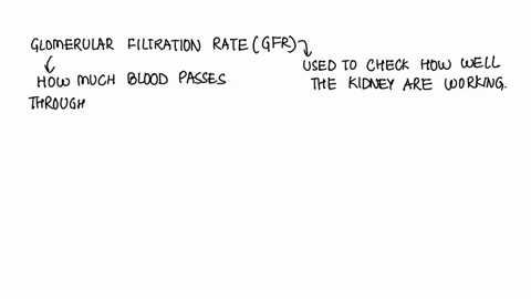 if-the-efferent-arteriole-constricts-what-is-the-effect-on-the-glomerular-filtration-rate-decreased-gfr-increased-gfr-no-effect-on-the-gfr-15239