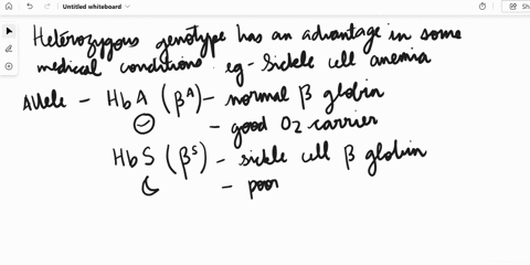 3-heterozygote-advantage-allows-some-mutated-alleles-that-cause-medical-dsorders-to-persisc-iie-human-population-for-example_-individuals-with-one-copy-of-the-sickle-cell-allele-are-more-res-97999