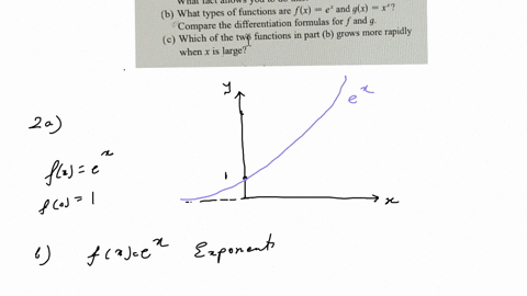 2-a-sketch-by-hand-the-graph-of-the-function-fxex-paying-particular-attention-to-how-the-graph-crosses-the-y-axis-what-fact-allows-you-to-do-this-b-what-types-of-functions-are-fxex-and-gxxe-compare-th