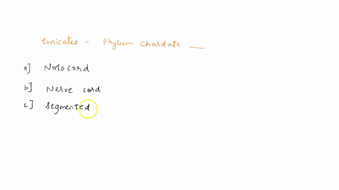 a-tunicate-a-member-of-phylum-chordata-_______-group-of-answer-choices-has-a-notochord-has-a-nerve-chord-along-its-midline-is-segmented-all-of-the-above-a-and-b-10503