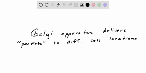 the-golgi-apparatus-packages-and-sorts-substances-for-delivery-to-different-parts-of-the-cell-or-outside-the-cell-which-cell-organelle-provides-instructions-to-the-golgi-apparatus-on-where-t-45457