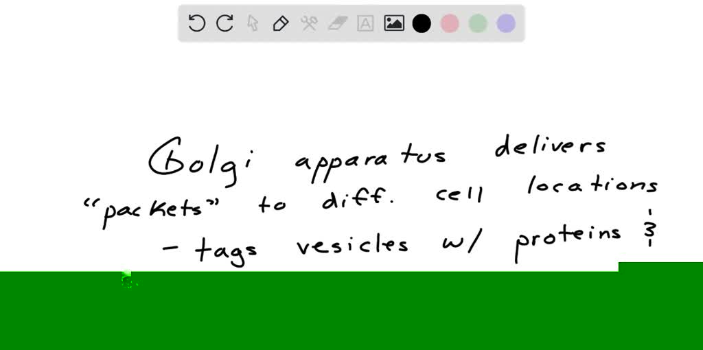 SOLVED The organelle responsible for receiving, packaging, and
