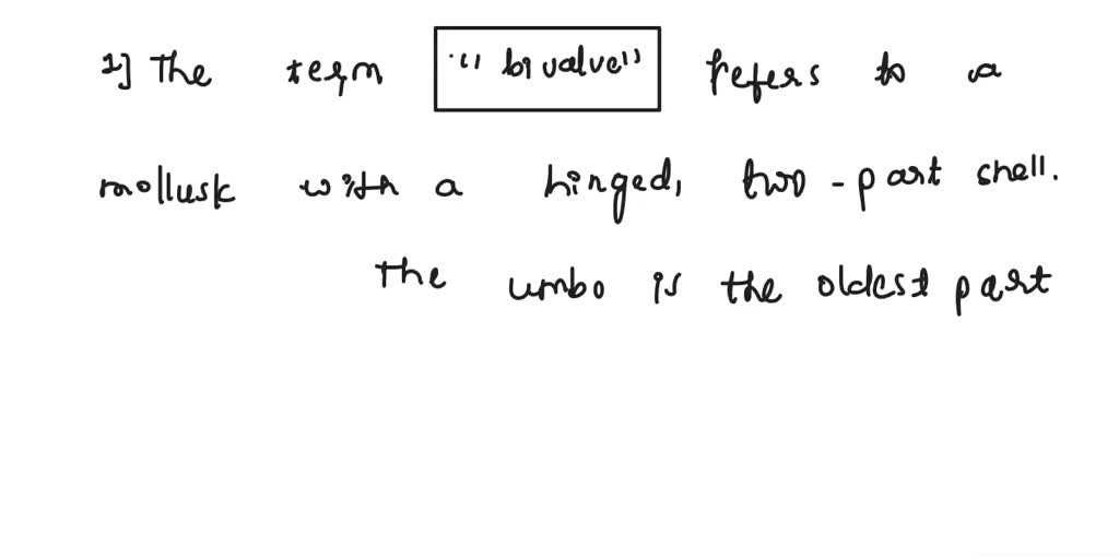 SOLVED Phylum Mollusca Clam Dissection Questions Detailed Clam