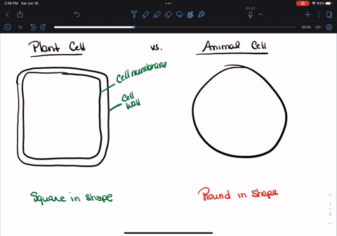Draw a neat diagram of plant cell and label any three parts...