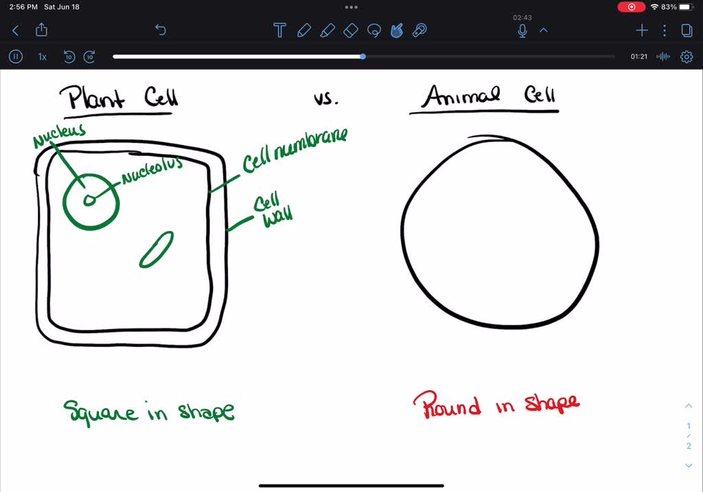 SOLVED: Cell Structure Sketch an animal cell and a plant cell. Label at  least 10 major structures. Note the differences found between typical animal  and typical plant cells.