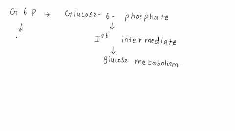 g-6-p-plays-many-roles-in-a-cell-what-following-role-g-6-p-does-not-play-select-1-6-p-is-an-intermediate-in-glycolysis_-6-p-is-an-intermediate-in-gluconeogenesis-6-p-is-an-intermediate-in-gl-33559