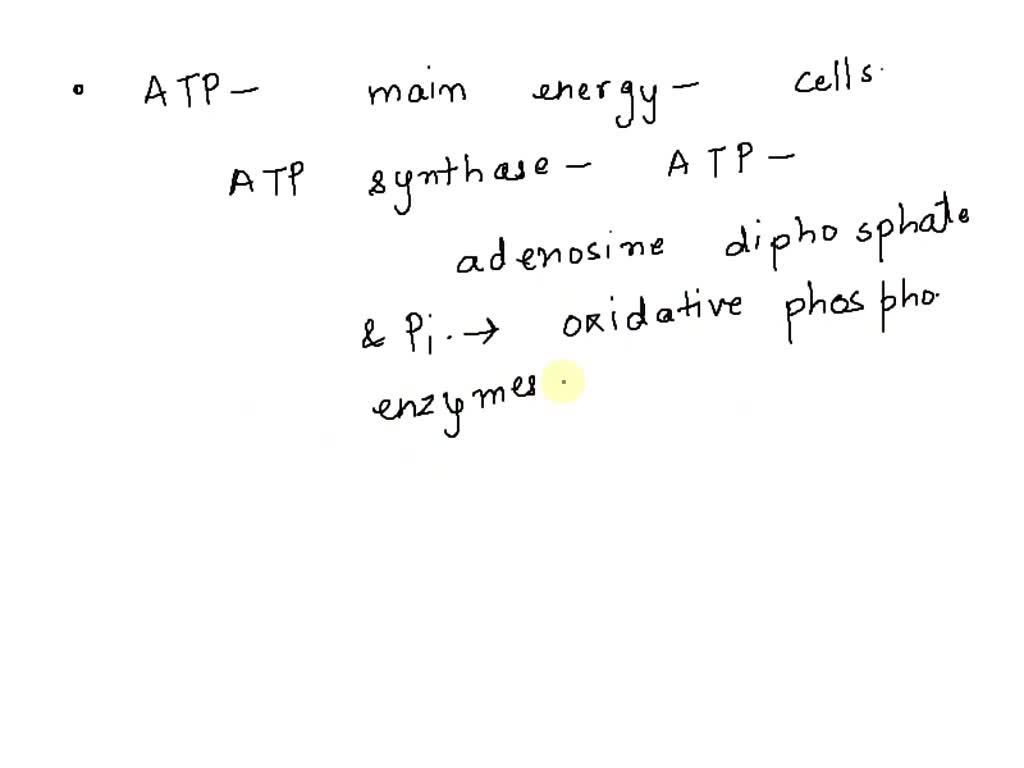 SOLVED: The 13 proteins that are encoded by the mitochondrial genome ...