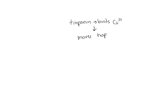 imagine-the-troponin-in-a-skeletal-muscle-fiber-had-a-mutation-that-prevented-its-binding-to-calcium-but-allowed-it-to-bind-to-tropomyosin-which-of-the-following-would-increase-the-amount-of-13028