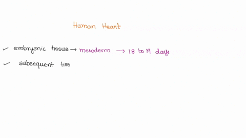 describe-how-the-major-pumping-chambers-the-ventricles-form-within-the-developing-heart-98955
