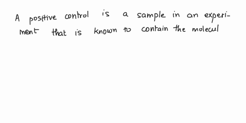 24-a-sample-that-does-contain-the-molecule-being-tested-is-called-a-positive-control-6-unknown-c-soluble-d-independent-variable-e-a-protein_-25-when-lipids-are-stained-with-sudan-dye-a-two-l-17393
