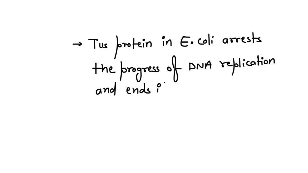 SOLVED The protein FtsZ is responsible for which step in binary