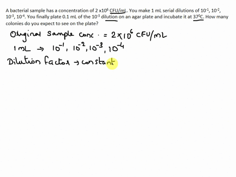 a-bacterial-sample-has-a-concentration-of-2-x106-cfuml-you-make-1-ml-serial-dilutions-of-10-1-10-2-10-3-10-4-you-finally-plate-01-ml-of-the-10-3-dilution-on-an-agar-plate-and-incubate-it-at-58362