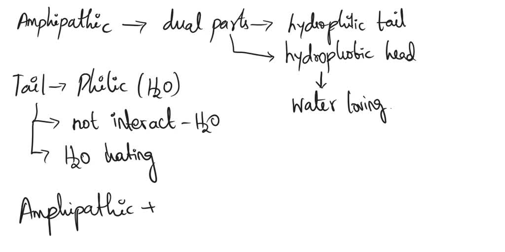 SOLVED Texts What happens when amphipathic compounds are placed in an aqueous solution? What