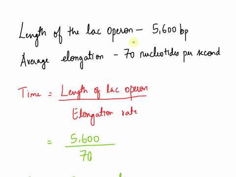 how-long-would-it-take-for-the-e-coli-rna-polymerase-to-synthesize-the-primary-transcript-for-the-e-coli-genes-encoding-the-enzymes-for-lactose-metabolism-which-is-a-5600-bp-lac-operon-assum-84155