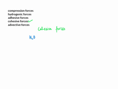 the-attractive-intermolecular-forces-between-identical-molecules-in-a-substance-are-known-as-select-only-the-best-answer-compression-forces-hydrogenic-forces-adhesive-forces-cohesive-forces-28395