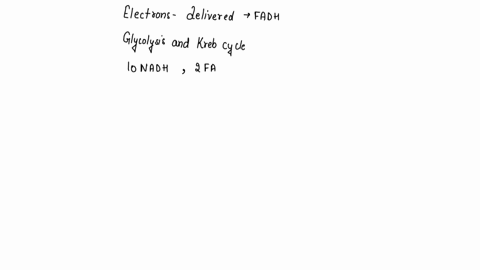 why-do-electrons-delivered-by-fadh2-pump-less-protons-select-one-a-because-they-enter-at-complex-il-b-because-they-are-generated-outside-the-mitochondria-c-because-they-are-generated-last-in-21332
