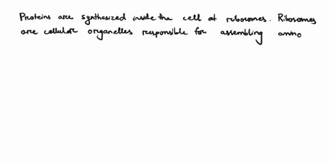 where-are-proteins-synthesised-inside-the-cell-34721