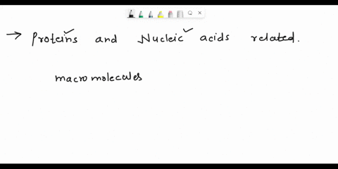 how-are-proteins-and-nucleic-acids-related-10855