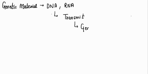 dna-and-rna-are-both-made-up-of-nucleotides-and-carry-molecules-from-one-end-of-a-cell-to-another-monomers-of-protein-molecules-that-provide-structure-to-a-cells-nuclear-membrane-protein-mol-96352